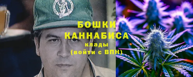 Шишки марихуана SATIVA & INDICA  Котлас 